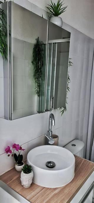 #New#Terrasse Sud Ouest#Pied De La Cite #1 Leilighet Carcassonne Eksteriør bilde