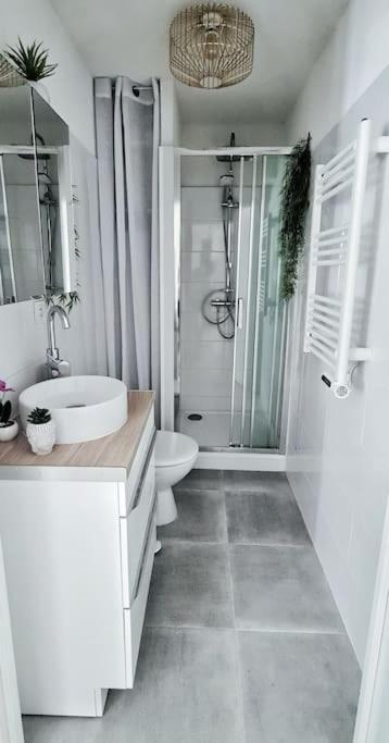 #New#Terrasse Sud Ouest#Pied De La Cite #1 Leilighet Carcassonne Eksteriør bilde